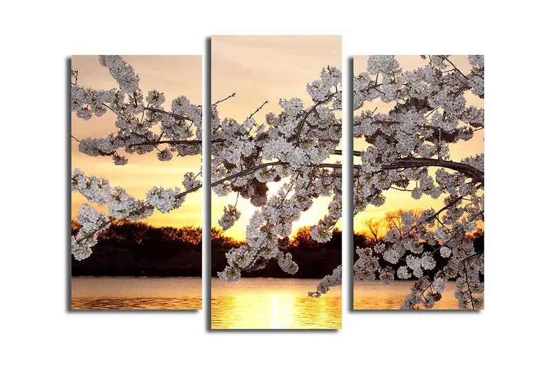 Canvastavla 3-pack Flerfärgad - 20x39 cm - Inredning - Tavlor & posters - Canvastavla