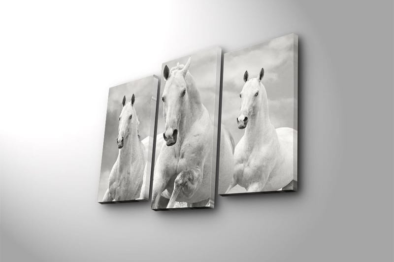 Canvastavla 3-pack Flerfärgad - 20x39 cm - Inredning - Tavlor & posters - Canvastavla