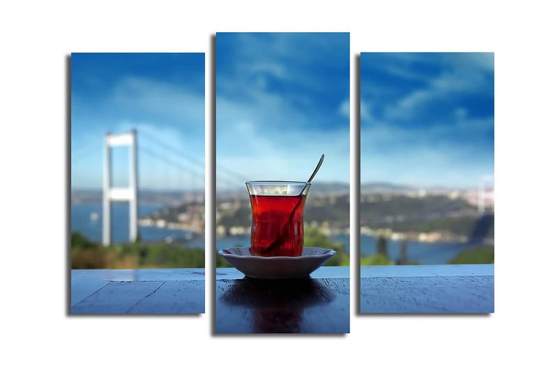 Canvastavla 3-pack Flerfärgad, 20x39 cm