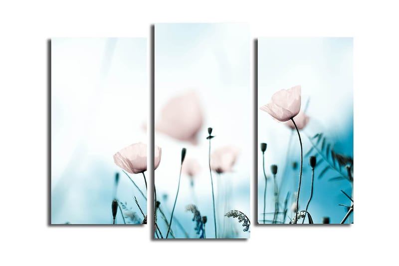Canvastavla 3-pack Flerfärgad - 20x39 cm - Inredning - Tavlor & posters - Canvastavla
