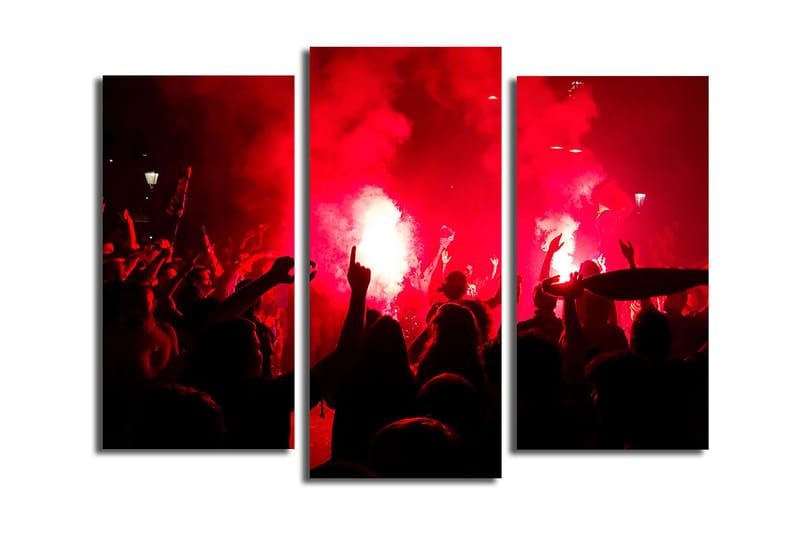 Canvastavla 3-pack Flerfärgad, 20x39 cm