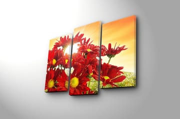 Canvastavla 3-pack Flerfärgad - 20x39 cm - Inredning - Tavlor & posters - Canvastavla