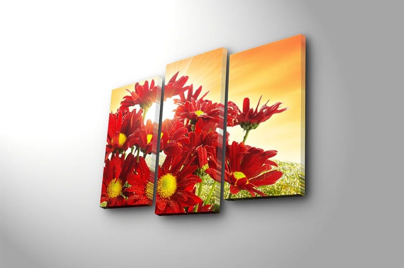 Canvastavla 3-pack Flerfärgad - 20x39 cm - Inredning - Tavlor & posters - Canvastavla