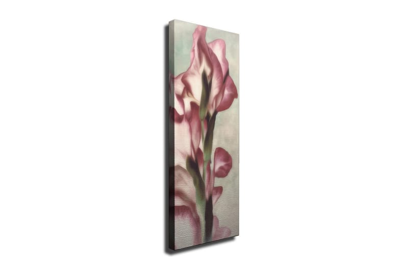 Canvastavla 30x80 cm - Elegant blomma i mjuka rosa nyanser - Rosa / Grön / Beige - Inredning - Tavlor & posters - Canvastavla