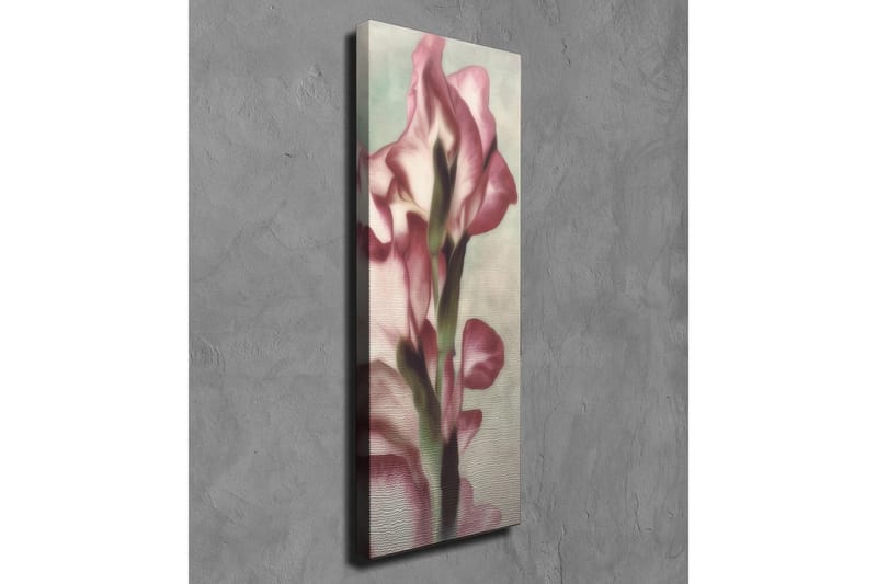 Canvastavla 30x80 cm - Elegant blomma i mjuka rosa nyanser - Rosa / Grön / Beige - Inredning - Tavlor & posters - Canvastavla
