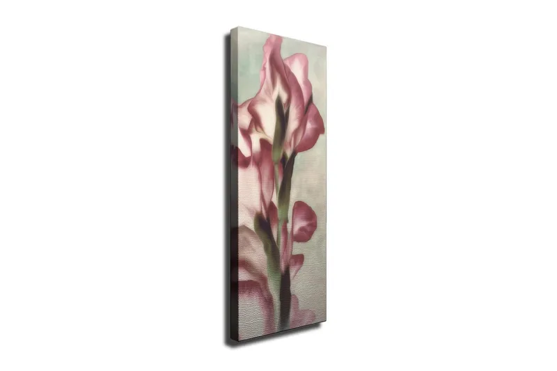 Canvastavla 30x80 cm - Elegant blomma i mjuka rosa nyanser - Rosa / Grön / Beige - Inredning - Tavlor & posters - Canvastavla