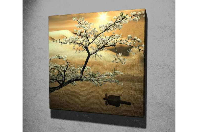 Canvastavla 45x45 cm - Blommande körsbärsträd vid solnedgången - Vit / Guld / Grön - Inredning - Tavlor & posters - Canvastavla