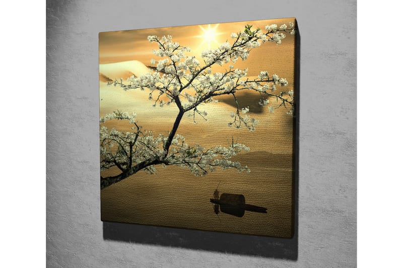 Canvastavla 45x45 cm - Blommande körsbärsträd vid solnedgången - Vit / Guld / Grön - Inredning - Tavlor & posters - Canvastavla