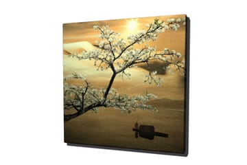 Canvastavla 45x45 cm - Blommande körsbärsträd vid solnedgången - Vit / Guld / Grön - Inredning - Tavlor & posters - Canvastavla