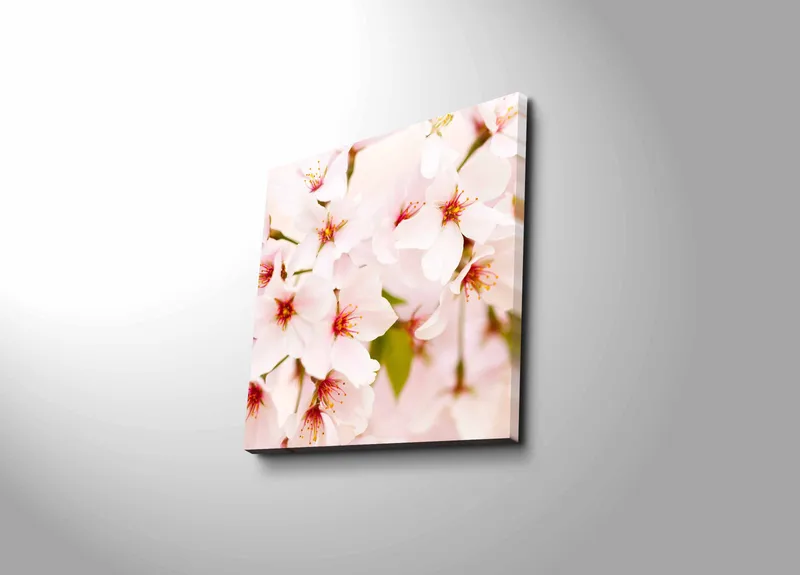 Canvastavla 45x45 cm - Blomstrande körsbärsblommor i pastelltoner, Ljusrosa / Vit / Grön