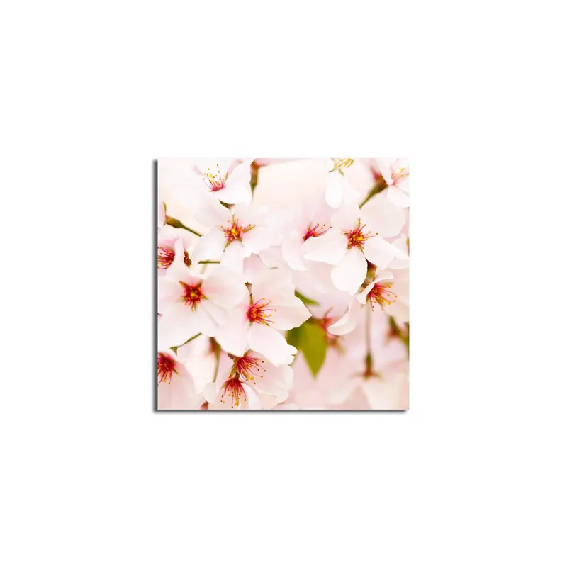 Canvastavla 45x45 cm - Blomstrande körsbärsblommor i pastelltoner - Ljusrosa / Vit / Grön - Inredning - Tavlor & posters - Canvastavla