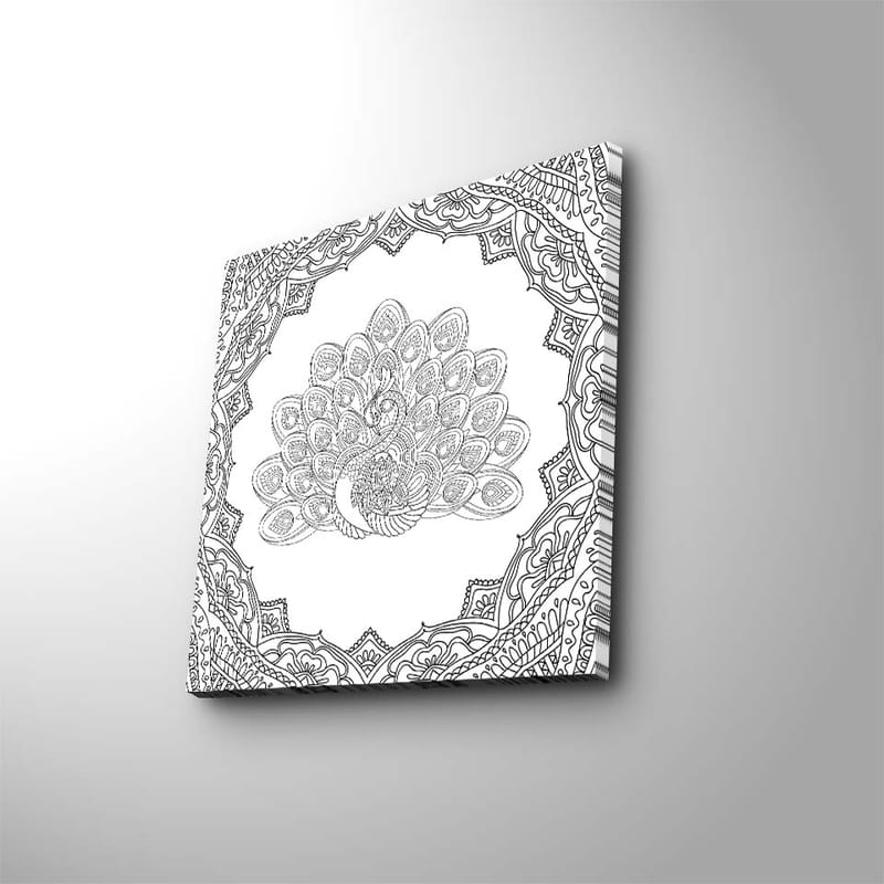 Canvastavla 45x45 cm - Detaljerad fjäderdräkt av en påfågel i en ornamenterad ram - Svart / Vitt - Inredning - Tavlor & posters - Canvastavla