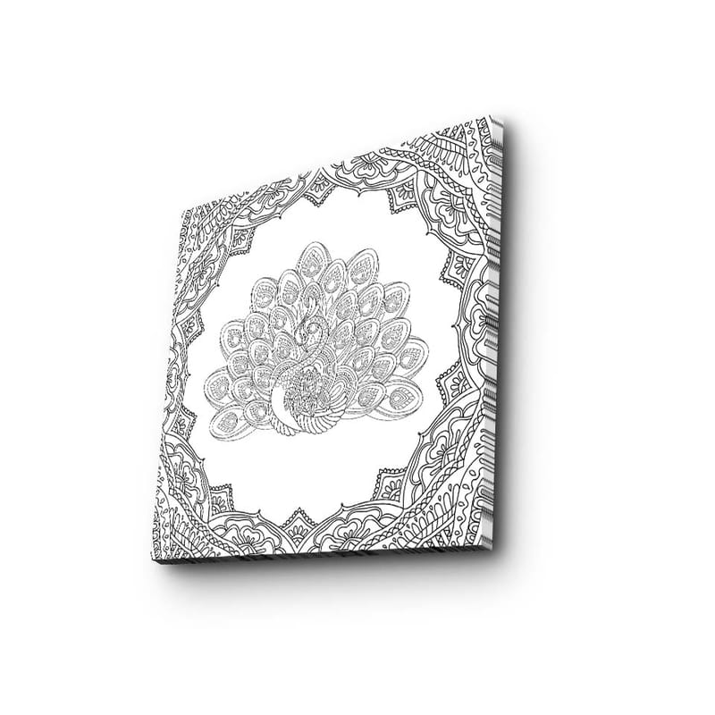 Canvastavla 45x45 cm - Detaljerad fjäderdräkt av en påfågel i en ornamenterad ram - Svart / Vitt - Inredning - Tavlor & posters - Canvastavla