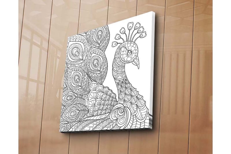 Canvastavla 45x45 cm - Detaljerad fjäderfä med intrikata mönster - Svart / Vitt - Inredning - Tavlor & posters - Canvastavla