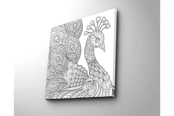 Canvastavla 45x45 cm - Detaljerad fjäderfä med intrikata mönster - Svart / Vitt - Inredning - Tavlor & posters - Canvastavla