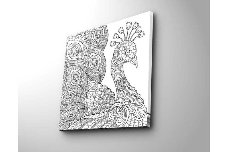 Canvastavla 45x45 cm - Detaljerad fjäderfä med intrikata mönster - Svart / Vitt - Inredning - Tavlor & posters - Canvastavla