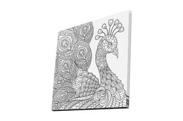 Canvastavla 45x45 cm - Detaljerad fjäderfä med intrikata mönster - Svart / Vitt - Inredning - Tavlor & posters - Canvastavla