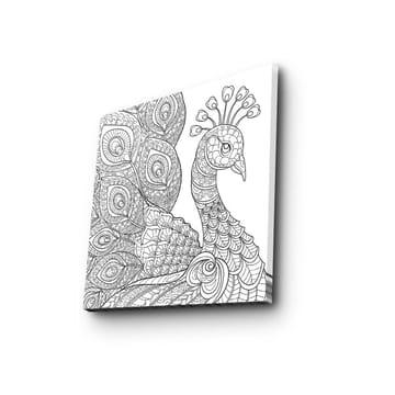 Canvastavla 45x45 cm - Detaljerad fjäderfä med utsmyckade fjädrar - Svart / Vitt - Inredning - Tavlor & posters - Canvastavla