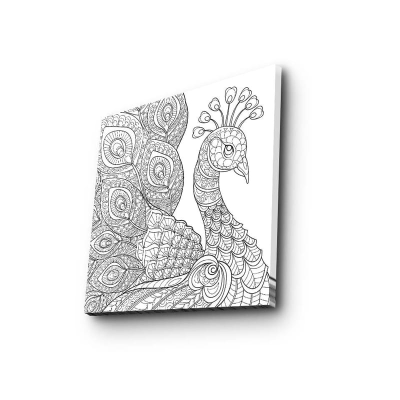 Canvastavla 45x45 cm - Detaljerad fjäderfä med utsmyckade fjädrar - Svart / Vitt - Inredning - Tavlor & posters - Canvastavla