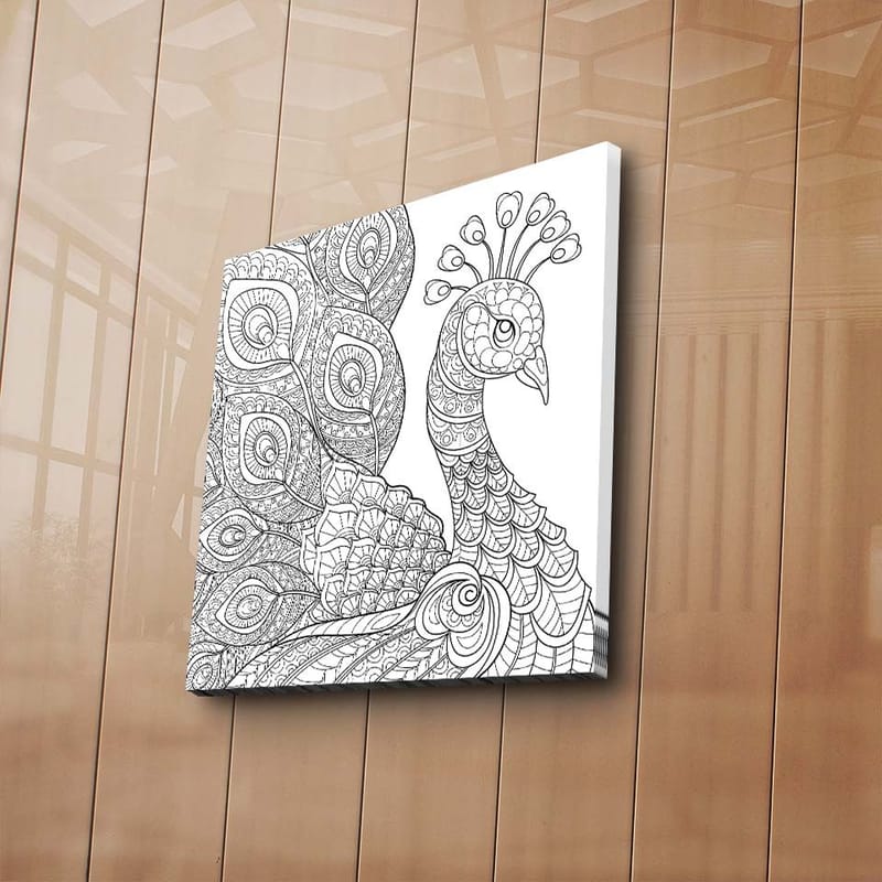 Canvastavla 45x45 cm - Detaljerad fjäderfä med utsmyckade fjädrar - Svart / Vitt - Inredning - Tavlor & posters - Canvastavla