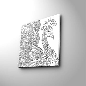Canvastavla 45x45 cm - Detaljerad fjäderfä med utsmyckade fjädrar - Svart / Vitt - Inredning - Tavlor & posters - Canvastavla
