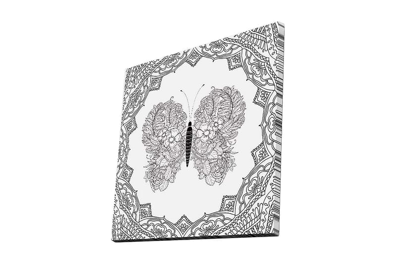 Canvastavla 45x45 cm - Detaljerad fjäril med blommönster och ornamentik, Svart / Vitt