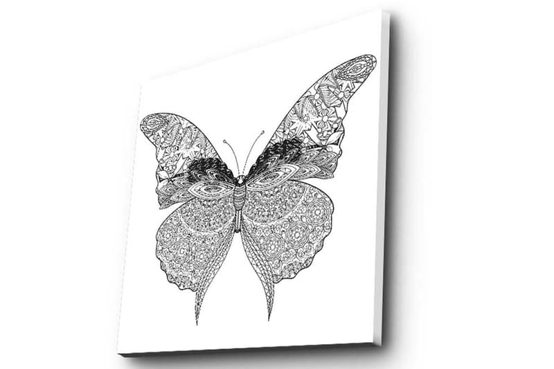 Canvastavla 45x45 cm - Detaljerad fjäril med intrikata mönster - Svart / Vitt - Inredning - Tavlor & posters - Canvastavla