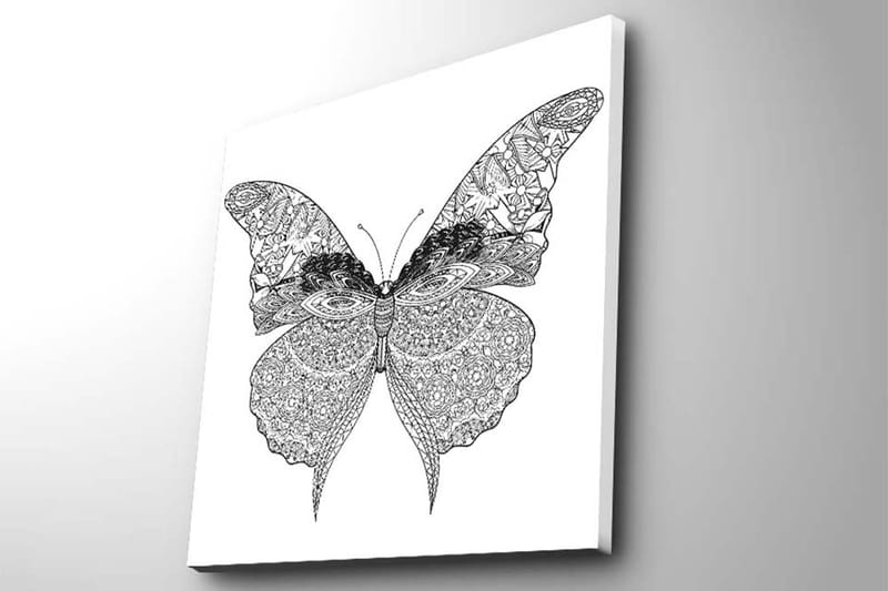 Canvastavla 45x45 cm - Detaljerad fjäril med intrikata mönster - Svart / Vitt - Inredning - Tavlor & posters - Canvastavla