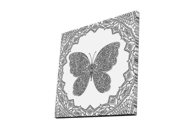 Canvastavla 45x45 cm - Detaljerad fjäril omgiven av ornamentala mönster - Svart / Vitt - Inredning - Tavlor & posters - Canvastavla