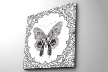 Canvastavla 45x45 cm - Detaljerad fjäril omgiven av ornamentala mönster - Svart / Vitt - Inredning - Tavlor & posters - Canvastavla