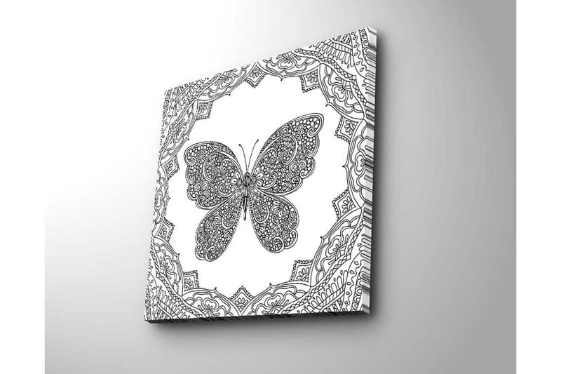 Canvastavla 45x45 cm - Detaljerad fjäril omgiven av ornamentala mönster - Svart / Vitt - Inredning - Tavlor & posters - Canvastavla