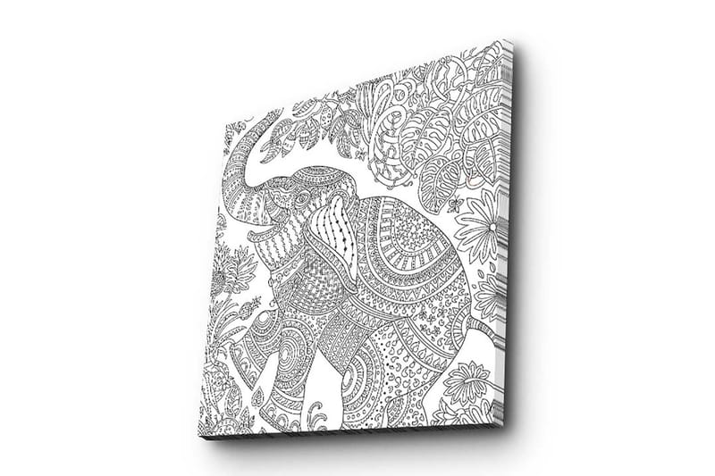 Canvastavla 45x45 cm - Detaljerad illustration av en elefant omgiven av växtlighet - Svart / Vitt - Inredning - Tavlor & posters - Canvastavla