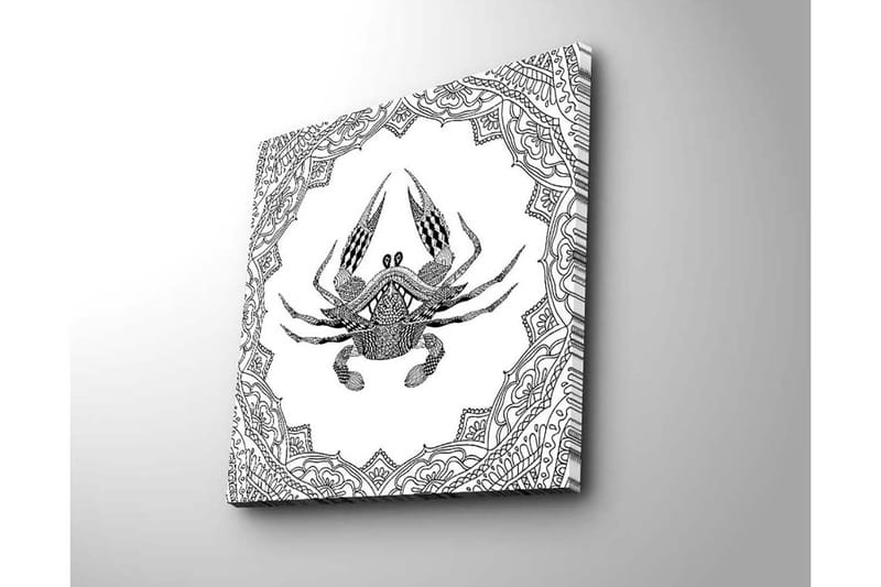 Canvastavla 45x45 cm - Detaljerad illustration av en krabba omgiven av ornamentala mönster - Svart / Vitt - Inredning - Tavlor & posters - Canvastavla
