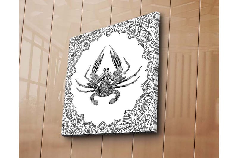 Canvastavla 45x45 cm - Detaljerad illustration av en krabba omgiven av ornamentala mönster - Svart / Vitt - Inredning - Tavlor & posters - Canvastavla