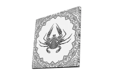 Canvastavla 45x45 cm - Detaljerad illustration av en krabba omgiven av ornamentala mönster - Svart / Vitt - Inredning - Tavlor & posters - Canvastavla