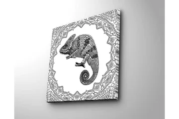 Canvastavla 45x45 cm - Detaljerad illustration av ett chameleon i en ornamenterad ram - Svart / Vitt - Inredning - Tavlor & posters - Canvastavla