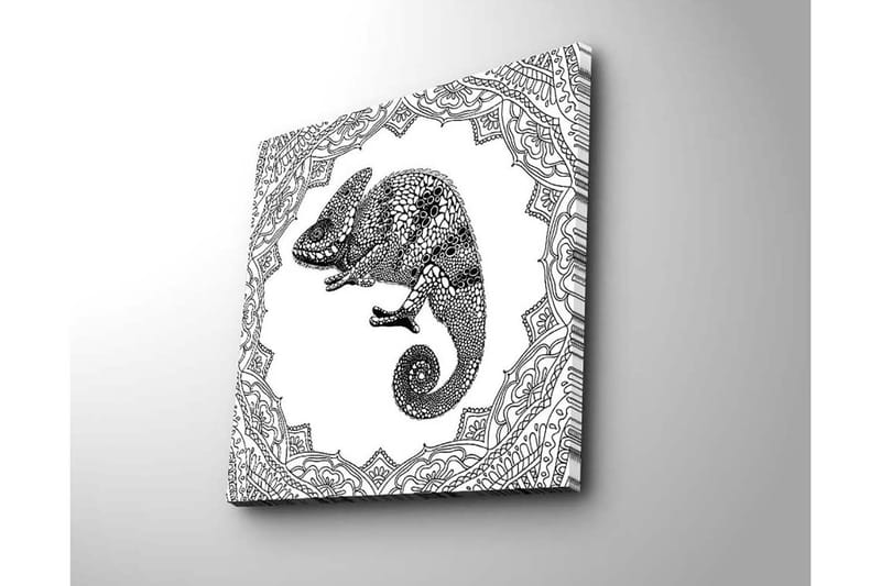 Canvastavla 45x45 cm - Detaljerad illustration av ett chameleon i en ornamenterad ram - Svart / Vitt - Inredning - Tavlor & posters - Canvastavla