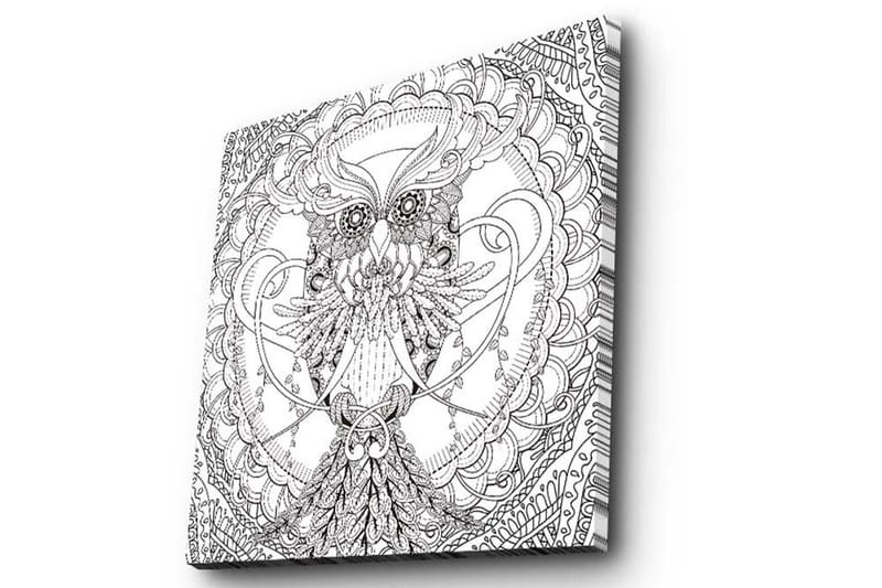 Canvastavla 45x45 cm - Detaljerad svartvit uggla med intrikata mönster - Svart / Vitt - Inredning - Tavlor & posters - Canvastavla