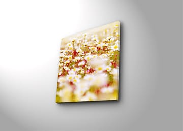 Canvastavla 45x45 cm - Fält av blommor i olika nyanser av vitt och gult - Vitt / Gult / Grönt - Inredning - Tavlor & posters - Canvastavla