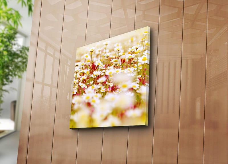 Canvastavla 45x45 cm - Fält av blommor i olika nyanser av vitt och gult - Vitt / Gult / Grönt - Inredning - Tavlor & posters - Canvastavla