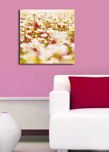 Canvastavla 45x45 cm - Fält av blommor i olika nyanser av vitt och gult - Vitt / Gult / Grönt - Inredning - Tavlor & posters - Canvastavla