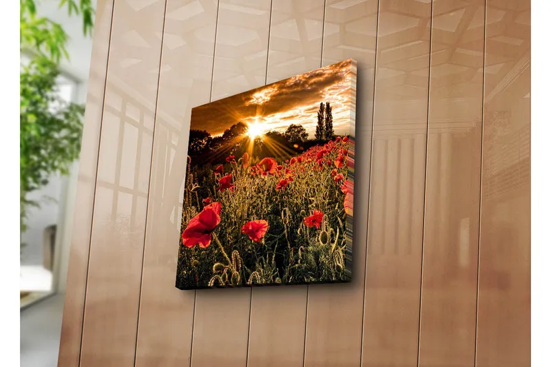 Canvastavla 45x45 cm - Fält av röda vallmo med en strålande sol i bakgrunden - Röd / Orange / Grön - Inredning - Tavlor & posters - Canvastavla