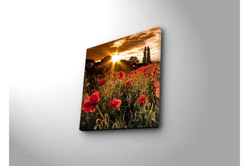 Canvastavla 45x45 cm - Fält av röda vallmo med en strålande sol i bakgrunden - Röd / Orange / Grön - Inredning - Tavlor & posters - Canvastavla