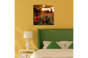Canvastavla 45x45 cm - Fält av röda vallmo med en strålande sol i bakgrunden - Röd / Orange / Grön - Inredning - Tavlor & posters - Canvastavla