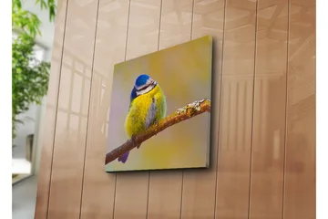 Canvastavla 45x45 cm - Färgglad blåmes på en gren - Blå / Gul / Grå - Inredning - Tavlor & posters - Canvastavla