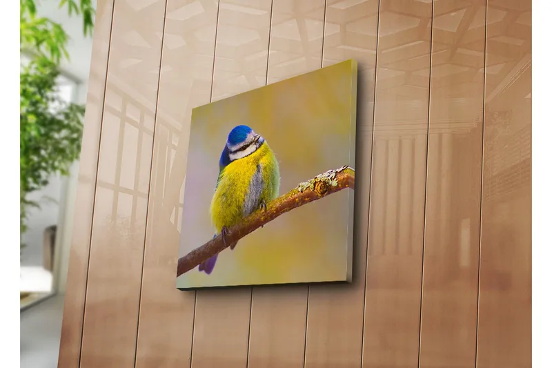 Canvastavla 45x45 cm - Färgglad blåmes på en gren - Blå / Gul / Grå - Inredning - Tavlor & posters - Canvastavla