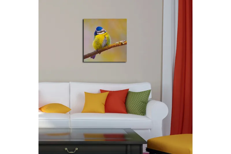 Canvastavla 45x45 cm - Färgglad blåmes på en gren - Blå / Gul / Grå - Inredning - Tavlor & posters - Canvastavla