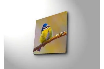 Canvastavla 45x45 cm - Färgglad blåmes på en gren - Blå / Gul / Grå - Inredning - Tavlor & posters - Canvastavla