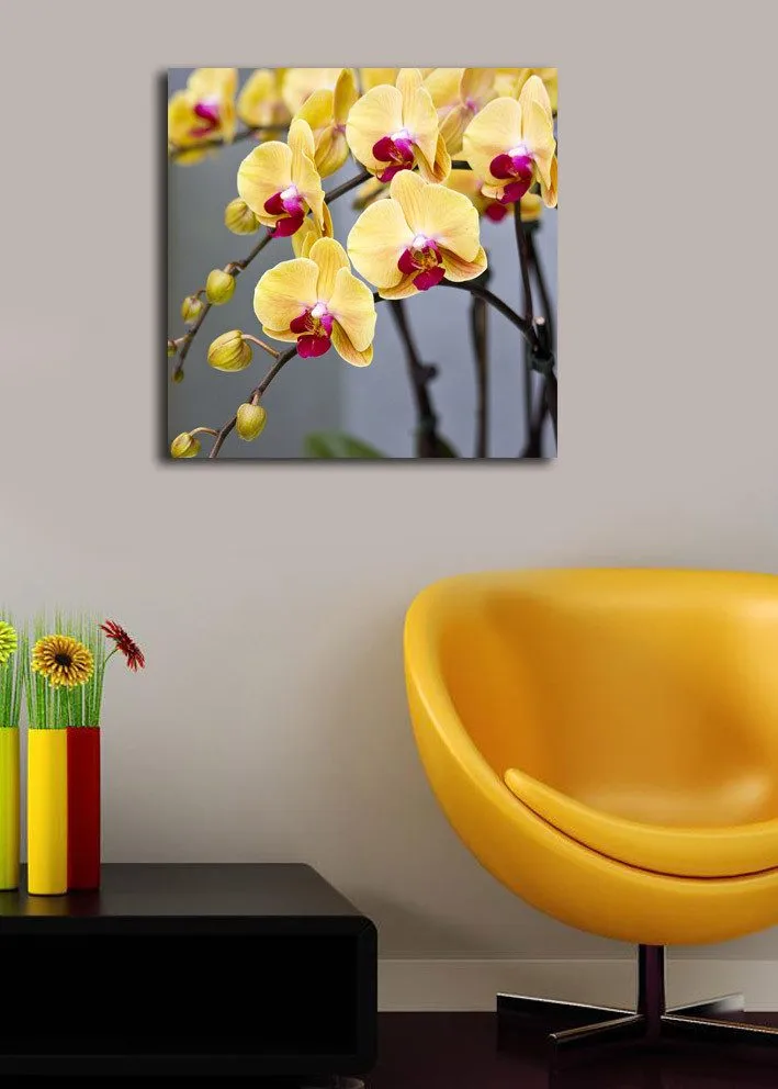 Canvastavla 45x45 cm - Färgglad orkidé med gula och rosa blommor - Gul / Rosa - Inredning - Tavlor & posters - Canvastavla