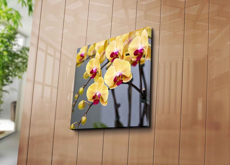 Canvastavla 45x45 cm - Färgglad orkidé med gula och rosa blommor - Gul / Rosa - Inredning - Tavlor & posters - Canvastavla